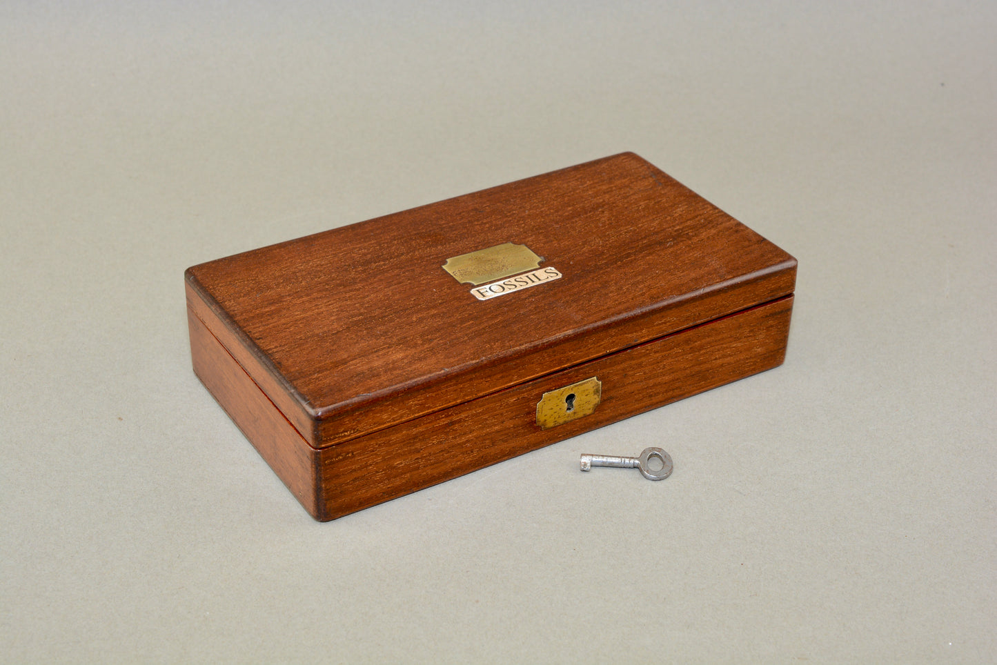 A Victorian gentlemans fossil collection in mahogany box