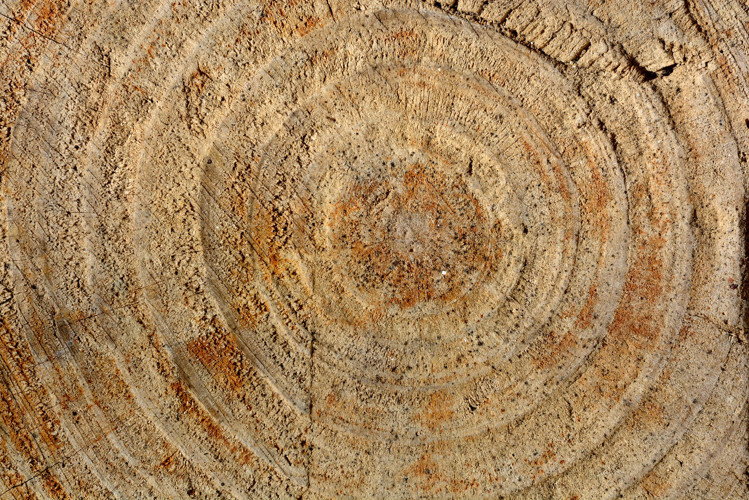 WOOD