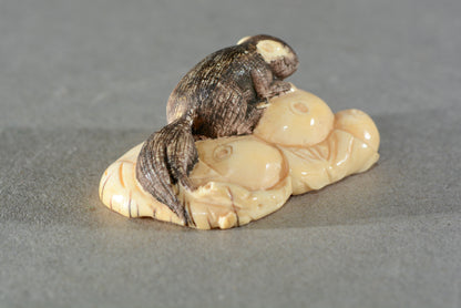 Vintage hand carved Japanese Netsuke squirrel