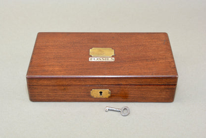A Victorian gentlemans fossil collection in mahogany box